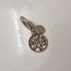 Pandora family charm